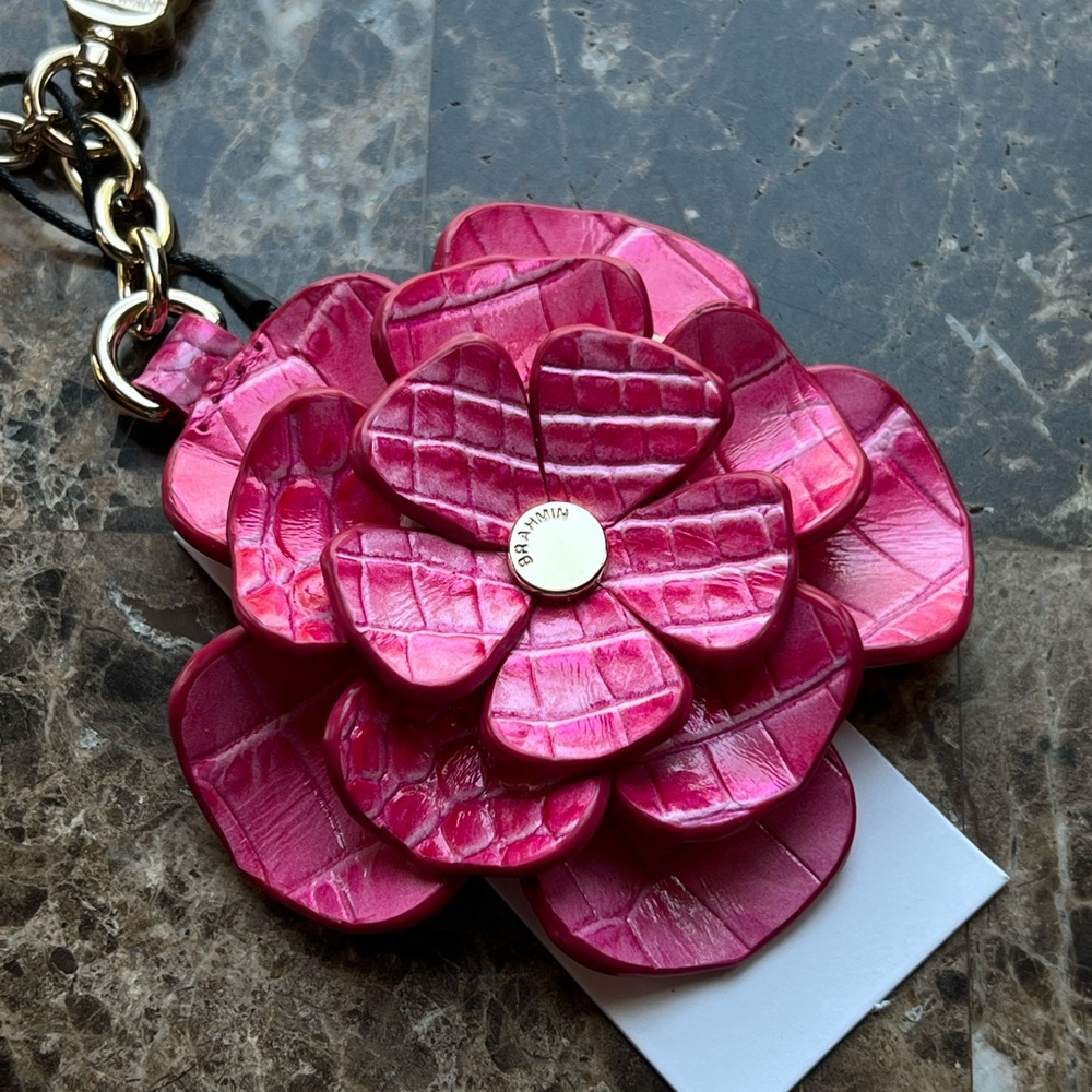 Dahlia Pink Cosmo Melbourne